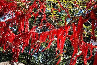 《暗黑破坏神4》攻克据点玩法展示
