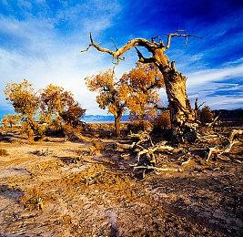 分析师：PS5 Pro是为超级粉丝准备的 能卖1500万台